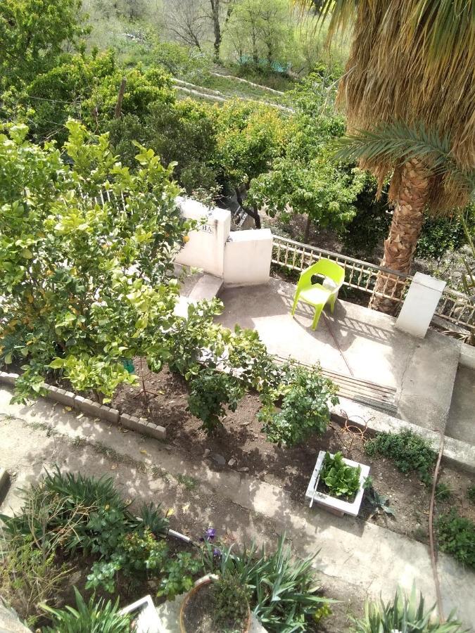 La Flecha Hostel Abrucena ภายนอก รูปภาพ