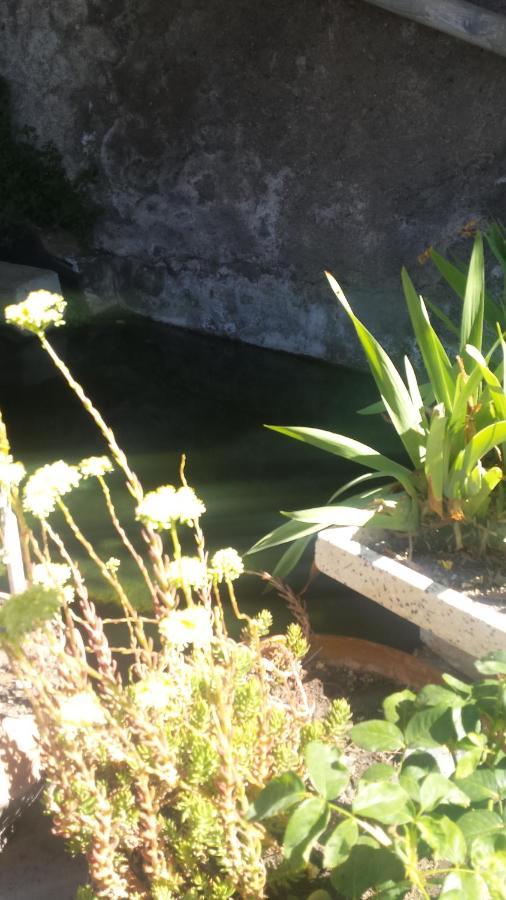 La Flecha Hostel Abrucena ภายนอก รูปภาพ