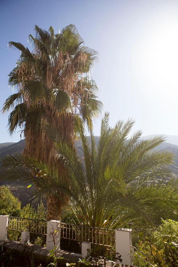 La Flecha Hostel Abrucena ภายนอก รูปภาพ